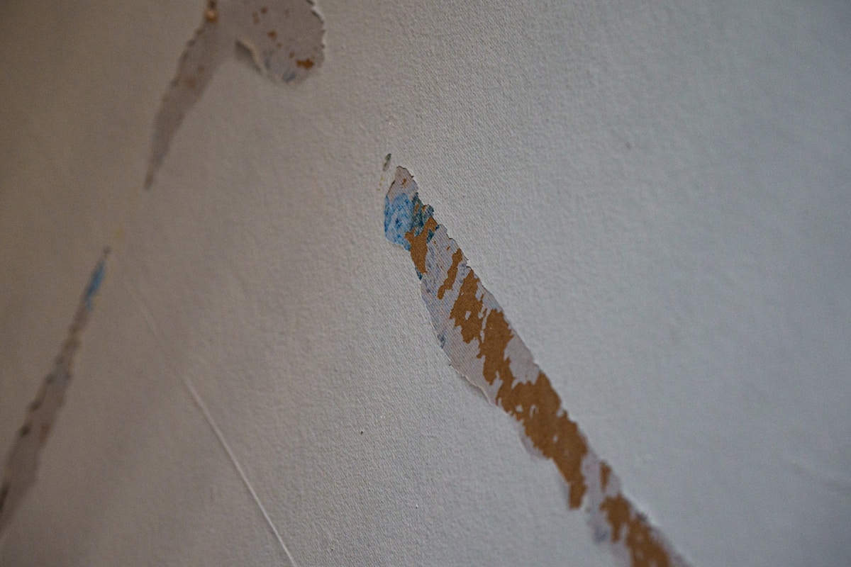 Mold Remediation service in North Charleston, SC